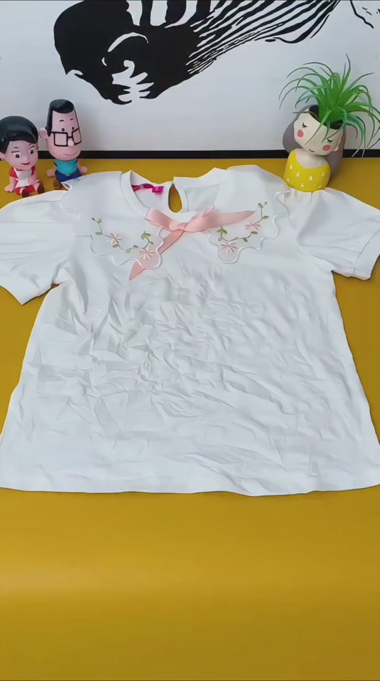 Portable Titanium Garment Steamer